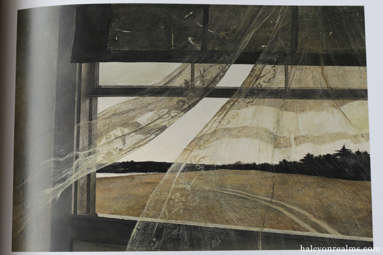 Andrew Wyeth : Looking Out, Looking In Art Book
