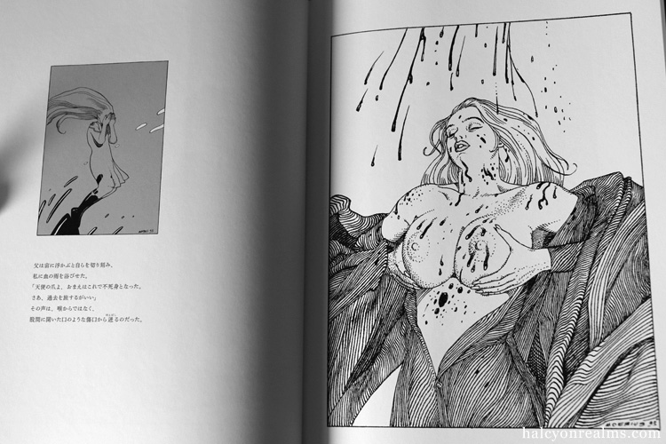 Griffes D'ange (Angel Claws) - Moebius Art Book Review