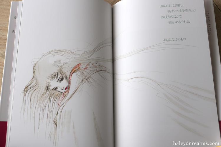 Angel's Egg - Yoshitaka Amano / Mamoru Oshii Art Book Review