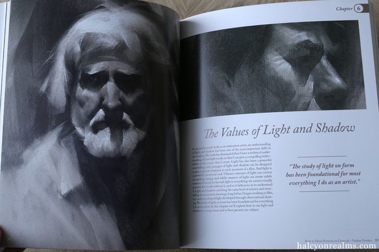 How To Draw Portraits In Charcoal - Nathan Fowkes Book Review