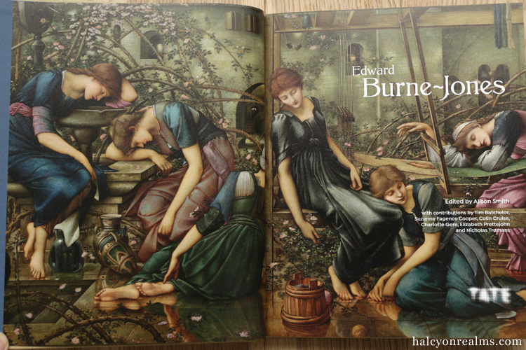Edward Burne-Jones Art Book