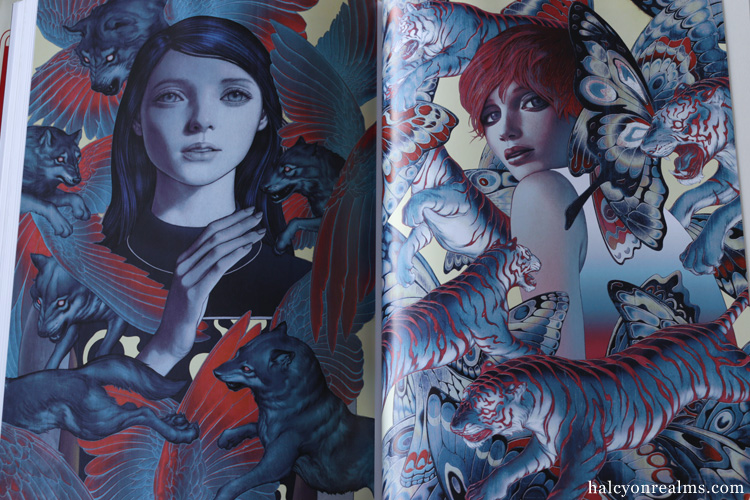 Fables Covers : The Art of James Jean Book