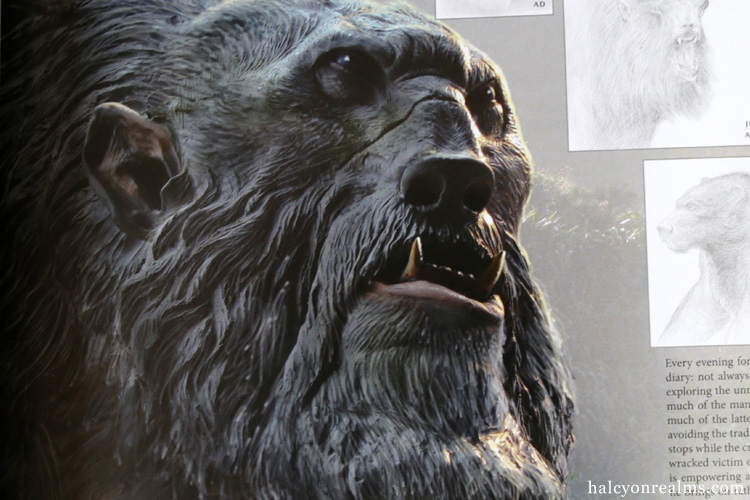 Hobbit : The Desolation Of Smaug Art & Design Book