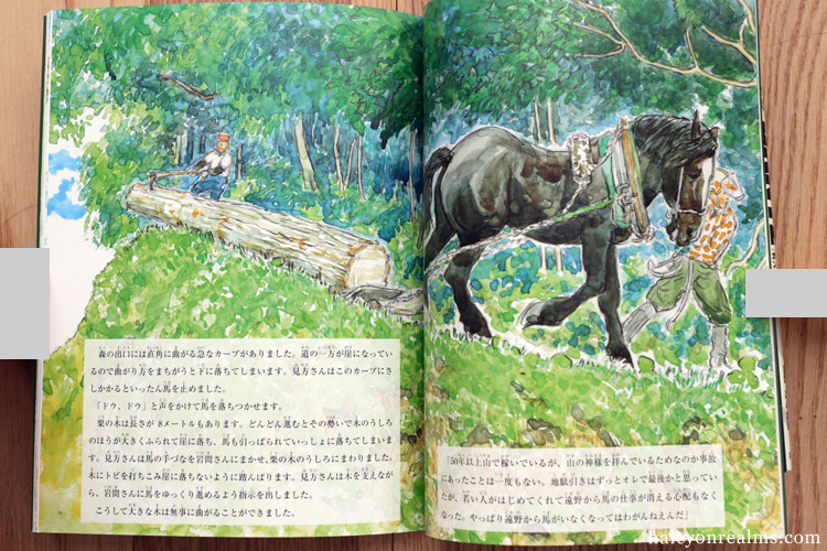 A Life With Horses - Daisuke Igarashi Illustration Book Review