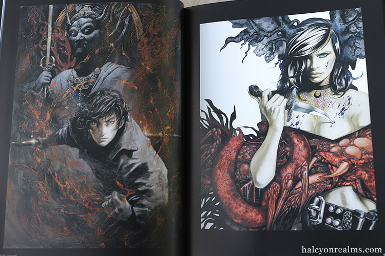 Santa Lilio Sangre - Ayami Kojima Artworks Book Review - Halcyon