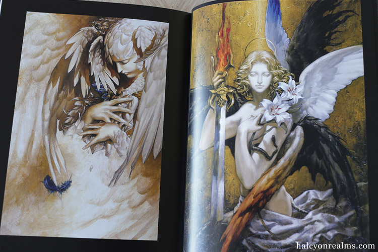 Santa Lilio Sangre - Ayami Kojima Artworks Book Review