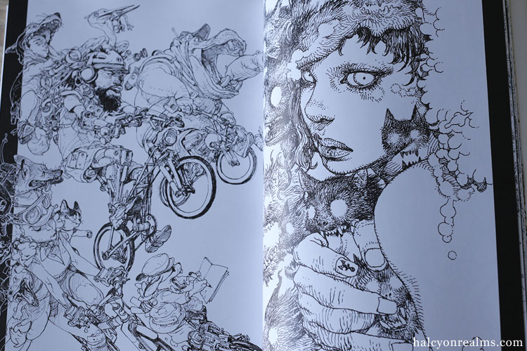 Katsuya Terada + Kim JungGi Illustrations Art Book Review